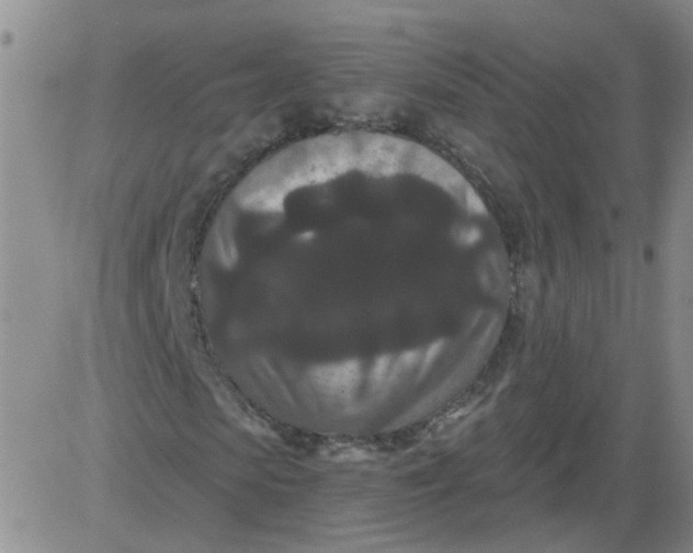 X0000084040913200703022145