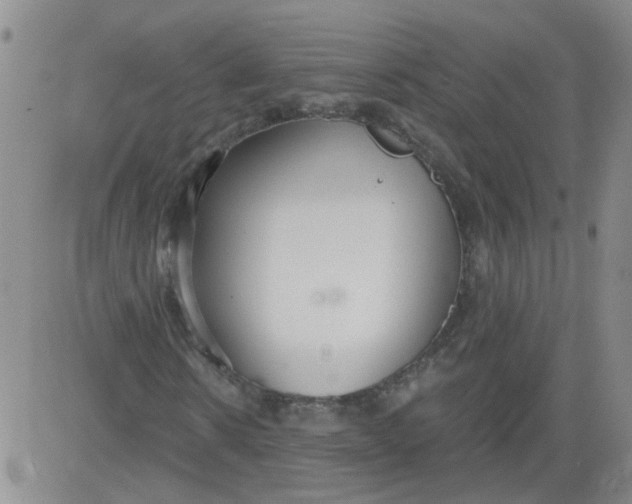 X0000084040914200703022145