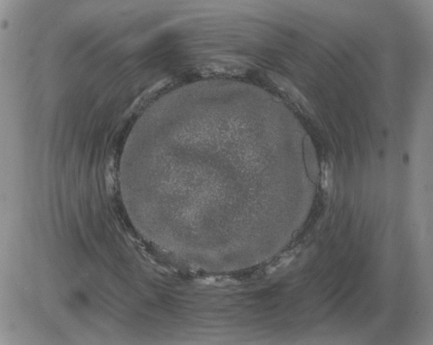 X0000084040915200703022145