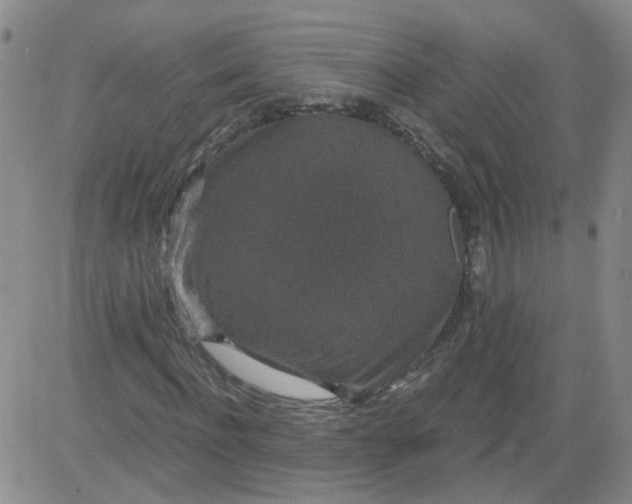 X0000084040916200703022145