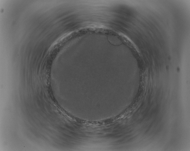 X0000084040919200703022145