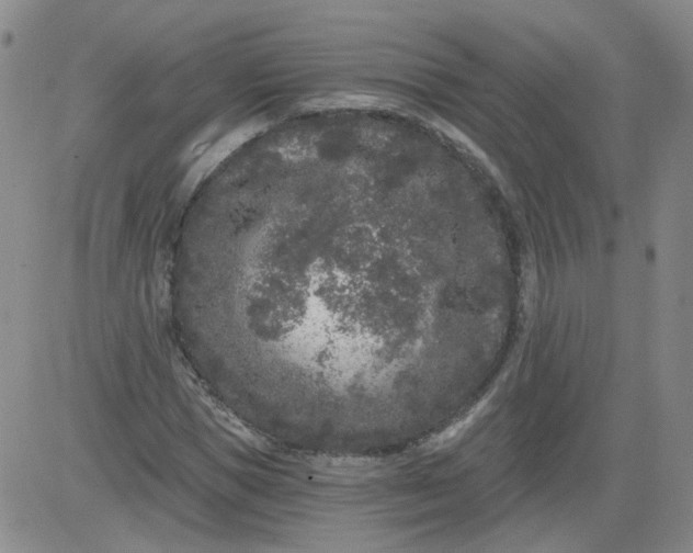 X0000084040921200703022145