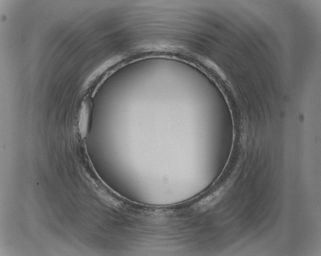 X0000084040922200703022145