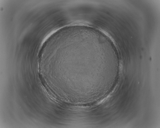 X0000084040925200703022145