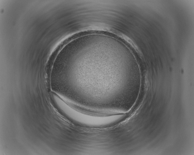 X0000084040926200703022145