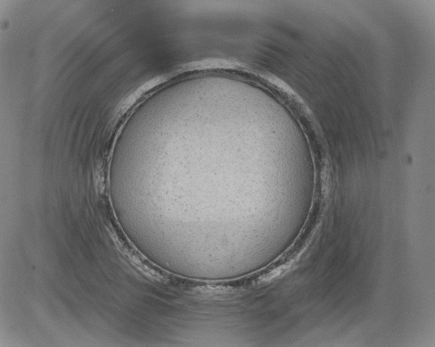 X0000084040929200703022145