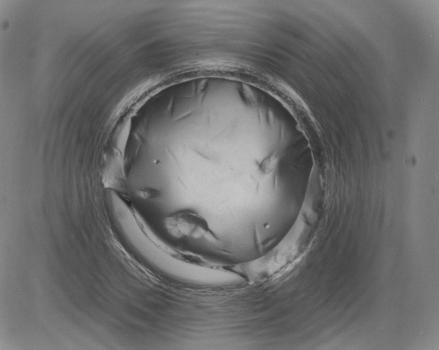 X0000084040930200703022145