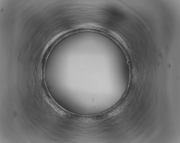 X0000084040931200703022145