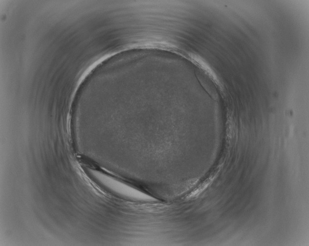 X0000084040932200703022145