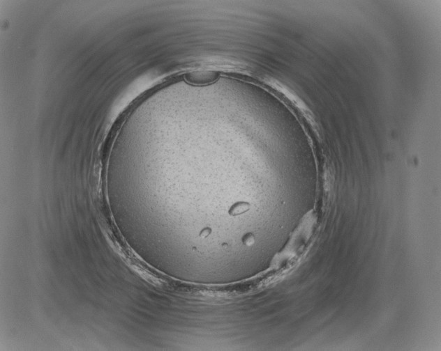 X0000084040933200703022145