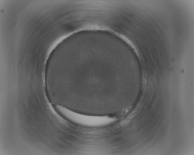 X0000084040935200703022145