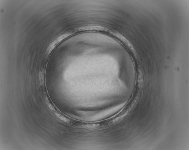 X0000084040937200703022145