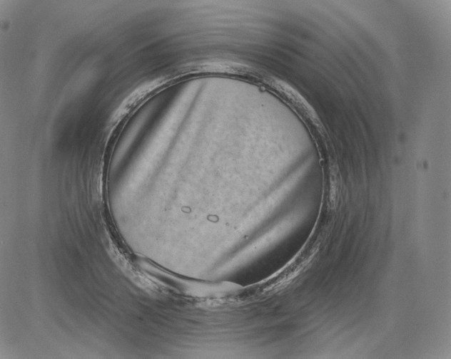 X0000084040938200703022145