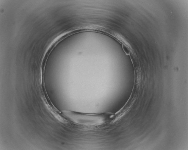 X0000084040940200703022145