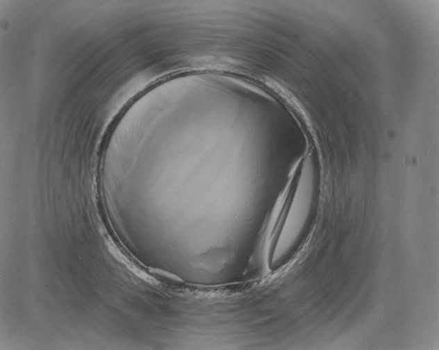 X0000084040941200703022145