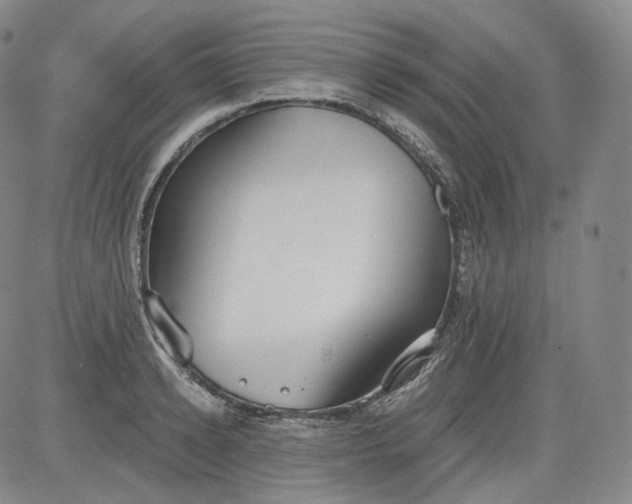 X0000084040942200703022145