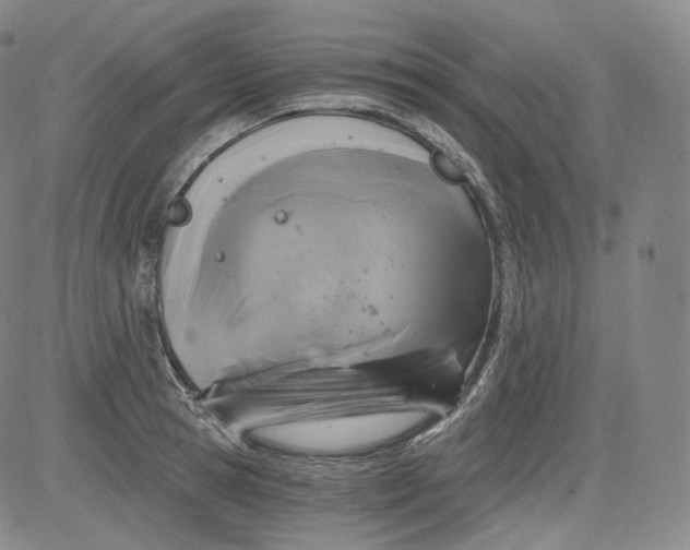 X0000084040945200703022145