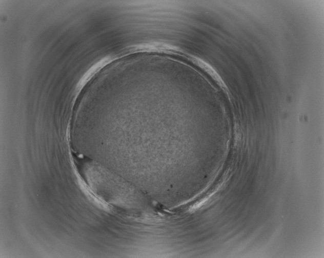 X0000084040946200703022145