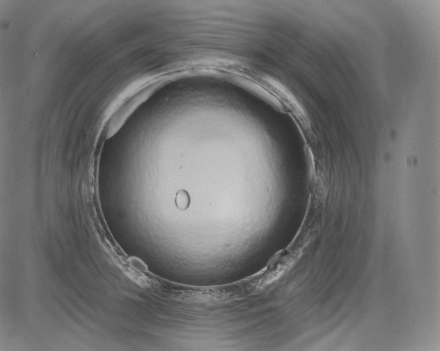 X0000084040948200703022145