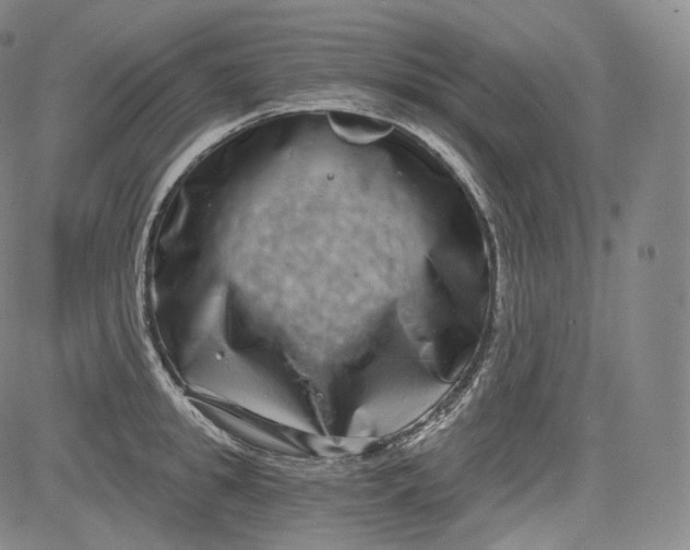 X0000084040949200703022145