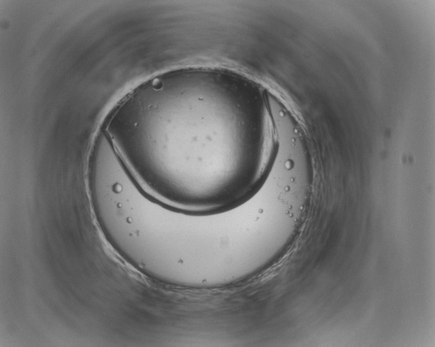 X0000084040950200703022145