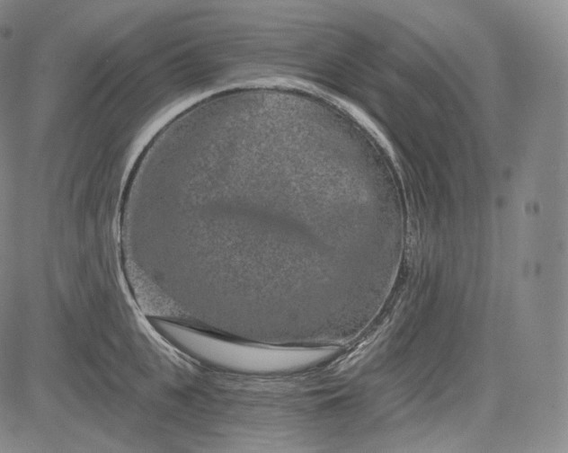 X0000084040951200703022145