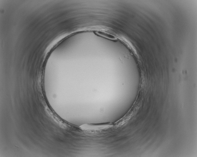 X0000084040952200703022145