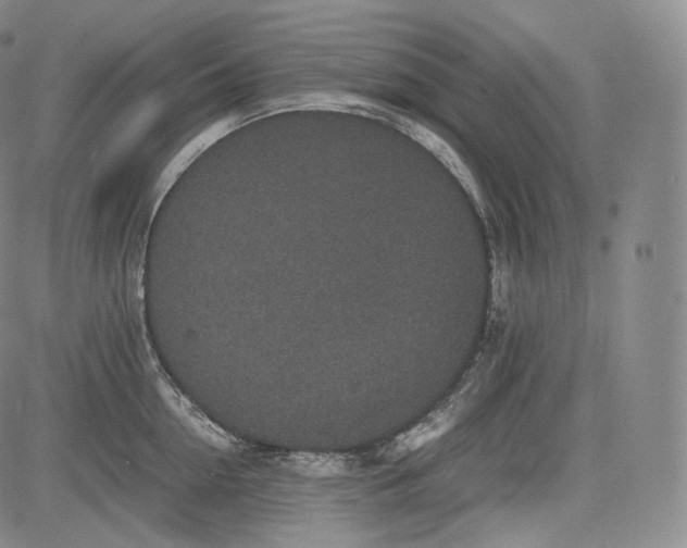 X0000084040954200703022145