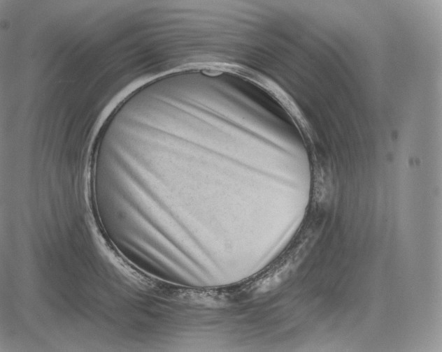 X0000084040955200703022145