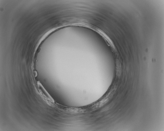 X0000084040956200703022145