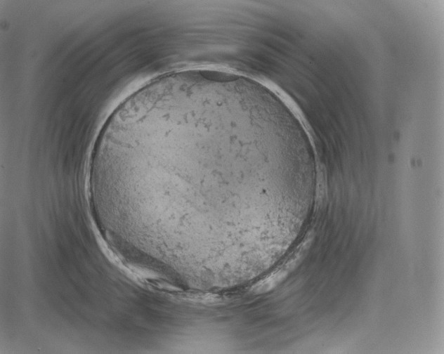 X0000084040957200703022145