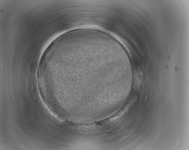 X0000084040959200703022145