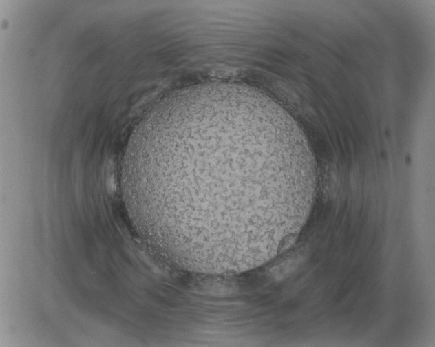 X0000084040962200703022145