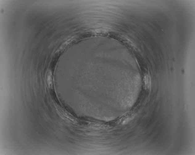 X0000084040963200703022145