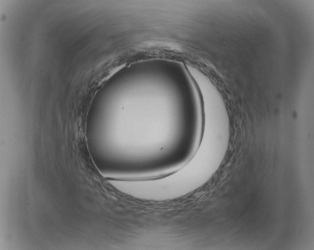 X0000084040965200703022145