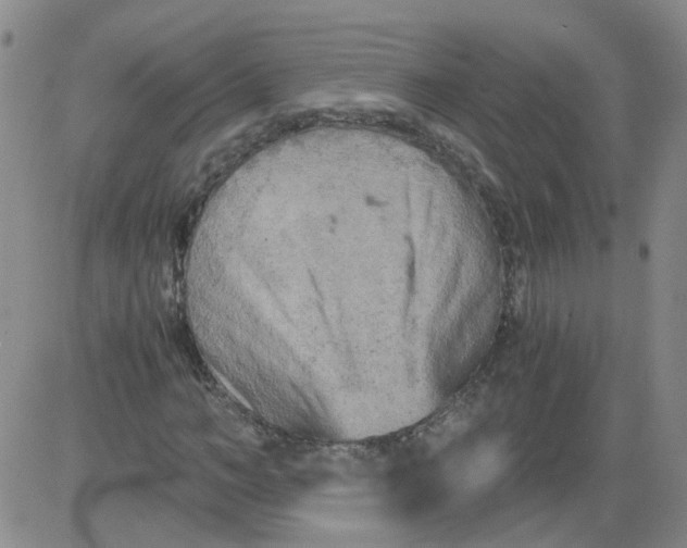 X0000084040966200703022145