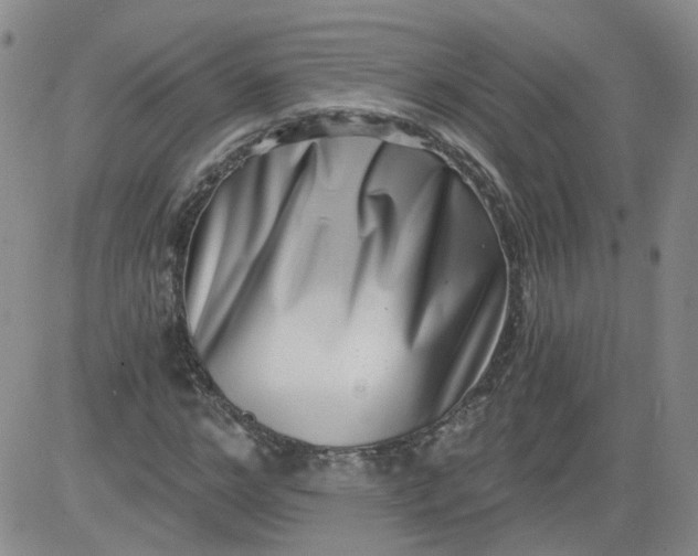 X0000084040968200703022145