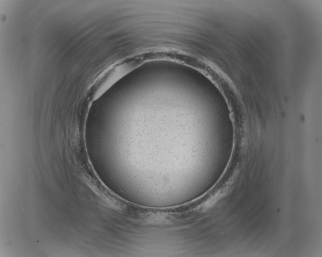 X0000084040969200703022145