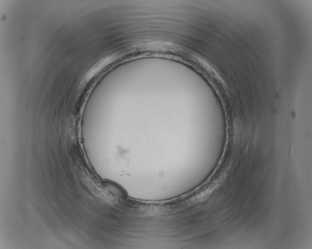 X0000084040970200703022144