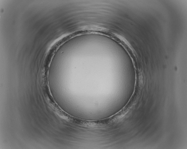 X0000084040971200703022144