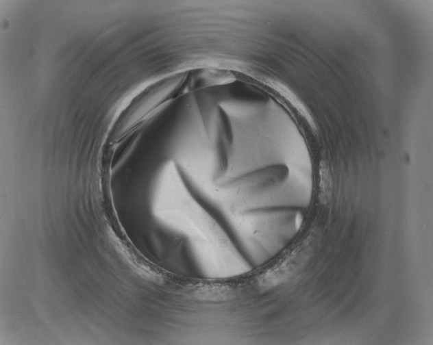 X0000084040972200703022144