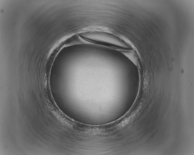 X0000084040973200703022144