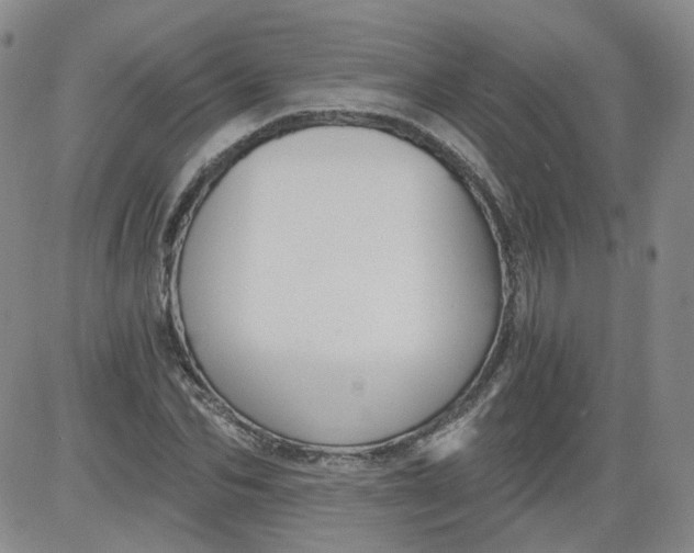 X0000084040974200703022144