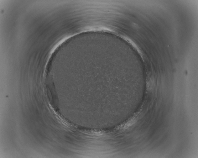 X0000084040975200703022144