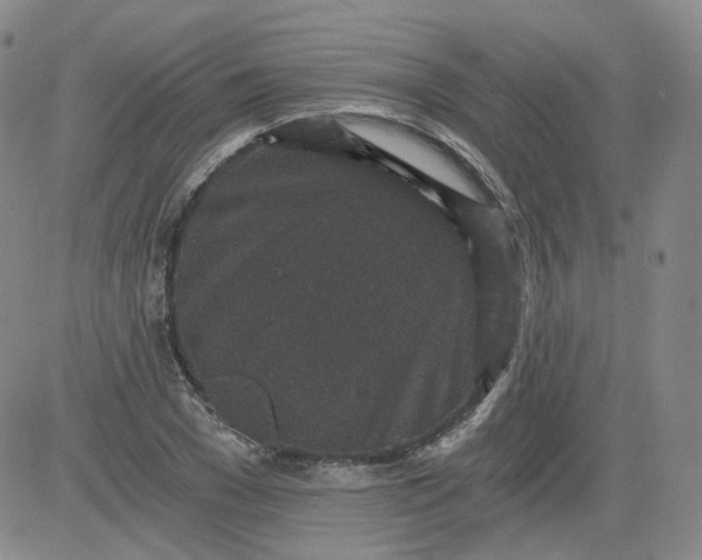 X0000084040977200703022144