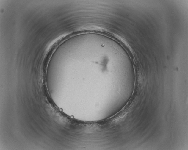 X0000084040979200703022144