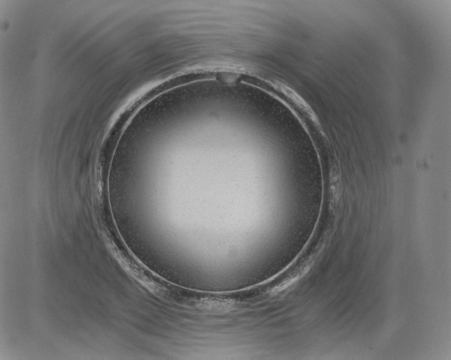 X0000084040981200703022144