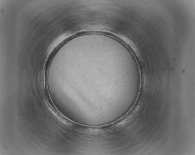 X0000084040982200703022144