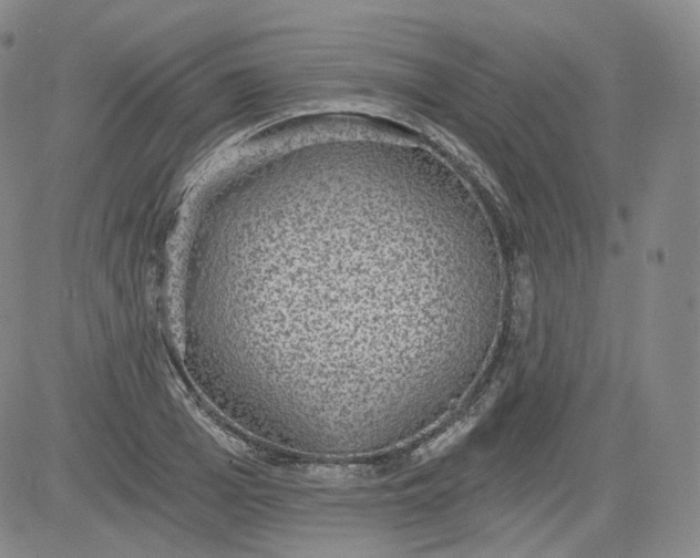 X0000084040985200703022144