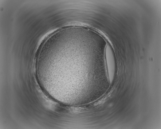 X0000084040987200703022144